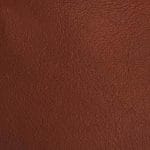 Spice CAFECY-9873