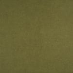 Spring WHA-019