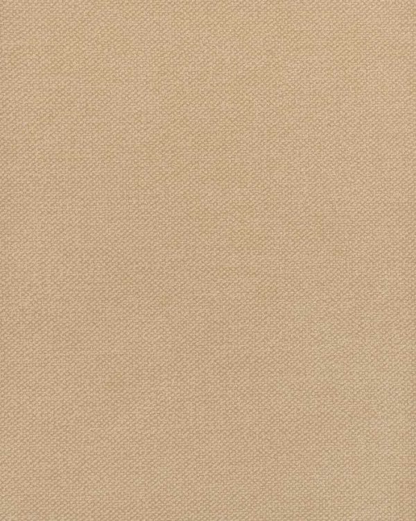 notion Stoneware Sno