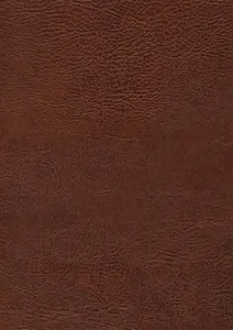 pavinto