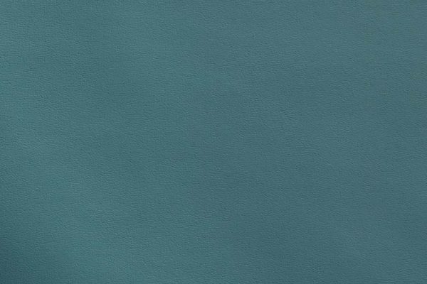 theory Teal