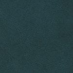 Teal 517734