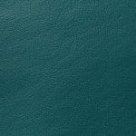 Teal COHCY-9252