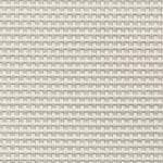 II White-20253