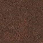 Tobacco Leaf 535885