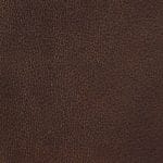 Treasure WCL-021