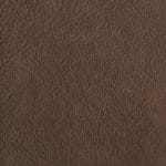 Truffle PHE-015