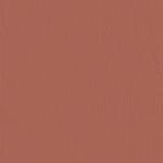 Umber 536621