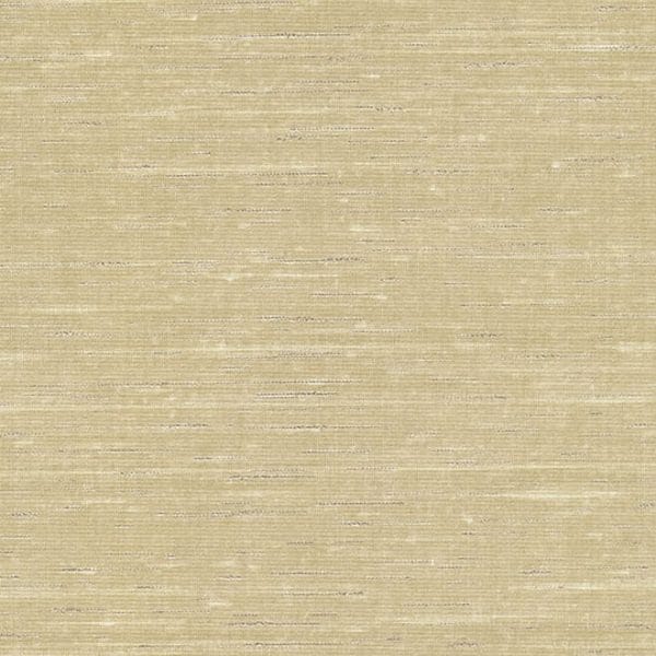 trace Vanilla