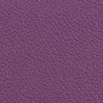 Violet 514985