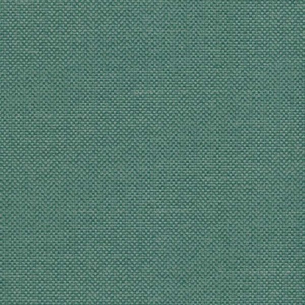 maglia Viridian Mag