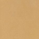 Camel WHI-2118