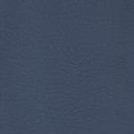 Cerulean WHI-2136