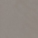 Elephant WHI-2138