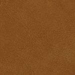 Wheat 517706