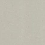 Putty WHI-2156