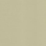 Cucumber WHI-2158
