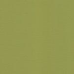 Sassafras WHI-2160