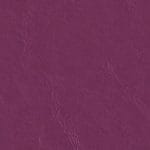Wild Orchid 517593