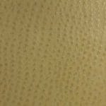 Willow-TPH-013