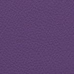 Wisteria 515033