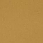 Yellow Pepper-WTL-019