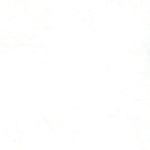 Pure White ZAN-3102