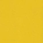 Yellow ZAN-3107