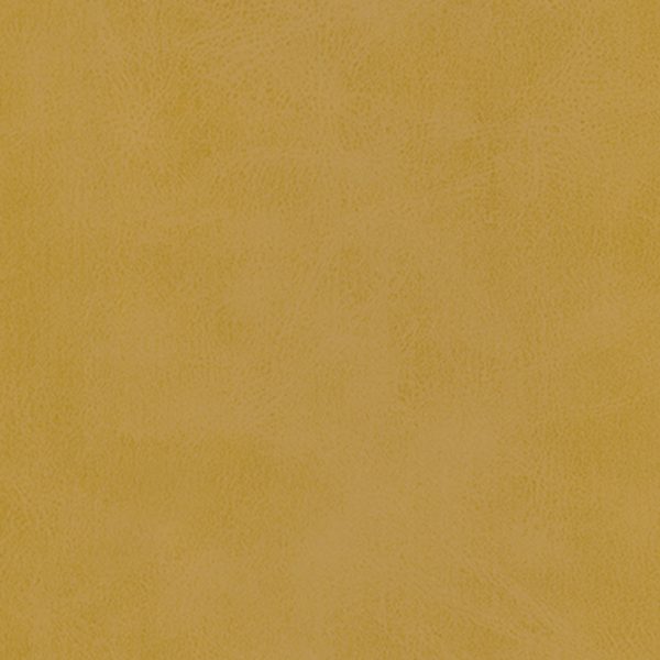 aire muse Air Muse Canary