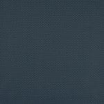Blueberry WBR-004