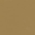 Butterscotch