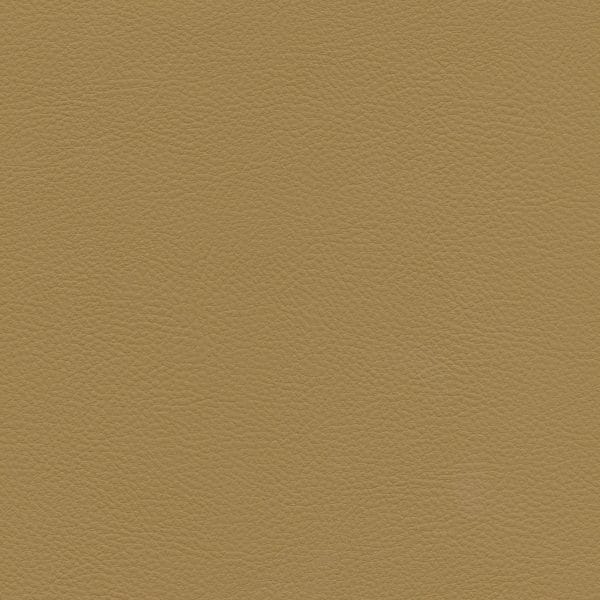 ziro drive Butterscotch