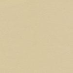 Eggshell