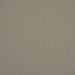 Oat WBR-013