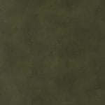 Olive 37920