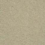 Parchment MCAS-02