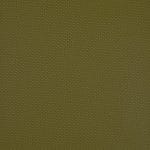 Scallion WBR-015
