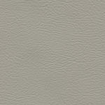 Pearl WHI - 2171