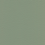 Silver Leaf WHI - 2178