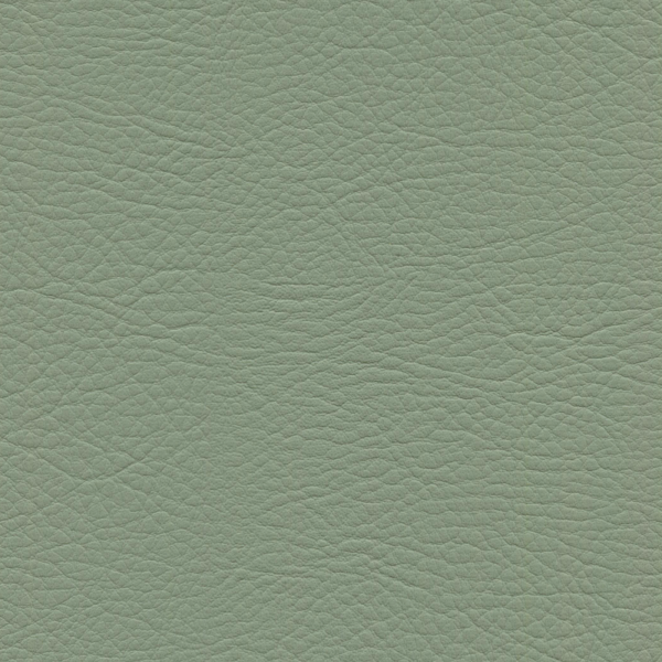 whisper Silver Leaf Whi