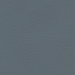 Coastal WHI - 2181