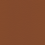 Saddle WHI - 2183