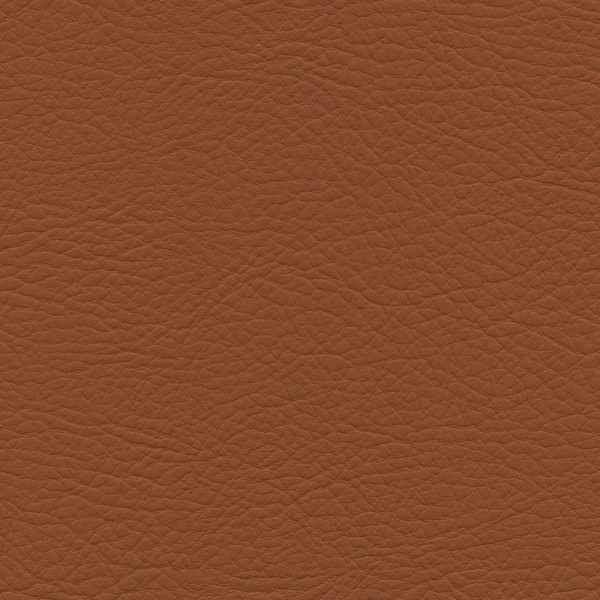 whisper Saddle Whi