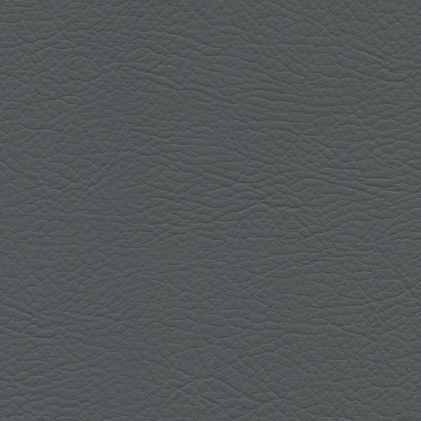 whisper Fossil Whi